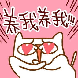  神叨叨猫咪头像养我养我