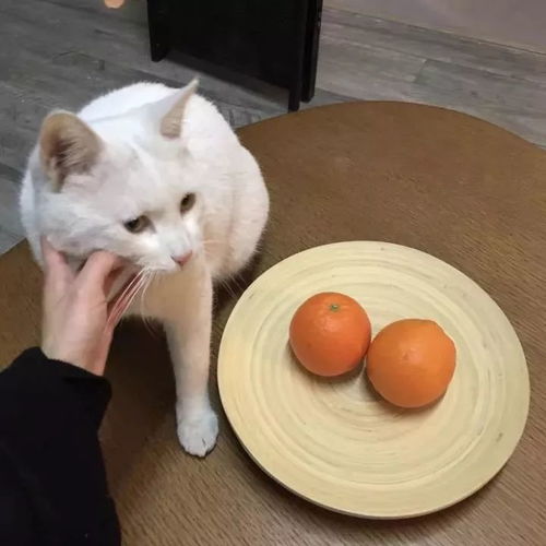  女孩子只想要的是偏爱啊
