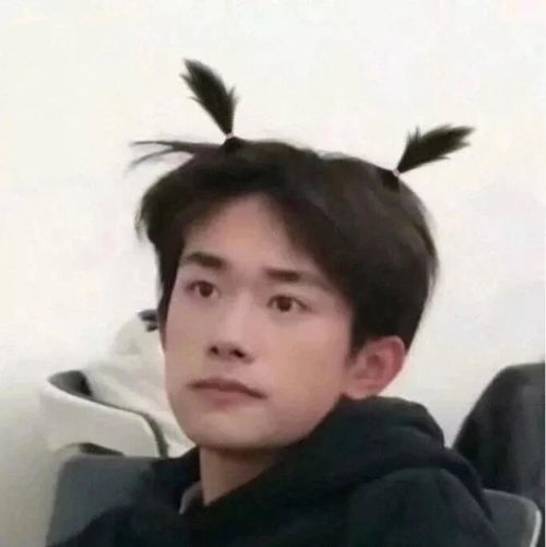易烊千玺的星座头像不配
