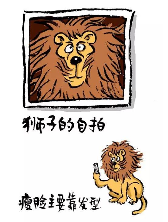  如果动物们有了自拍杆