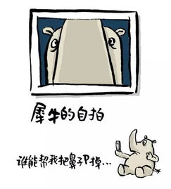 动物简笔画头像图片自拍