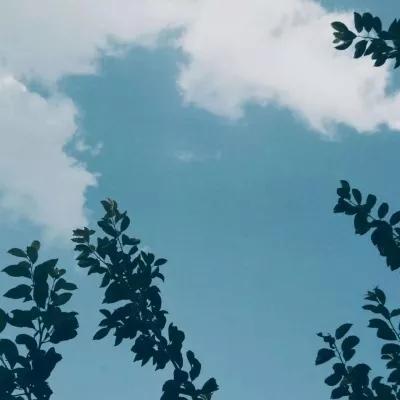  风景静物头像你若爱,生活哪里都可爱