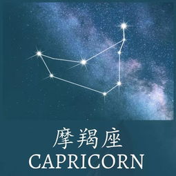  狮子处女桃花佳,摩羯天蝎防流言