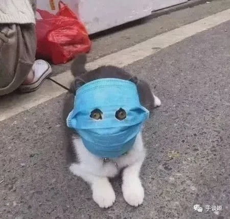 沙雕动物头像手办