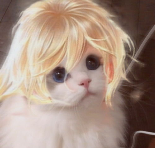  王者荣耀猫咪头像李信王者荣耀李信猫咪接头头像快吧手游