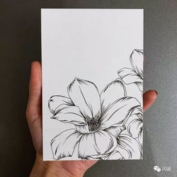  50张花卉线稿