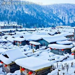  纯洁的雪,终究是白了我的整个世界