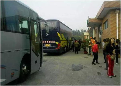  号称全国最厉害的四辆客车,挂首都省会九五之尊车牌,太霸气了