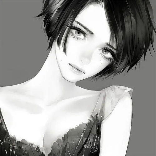  画师takenaka头像