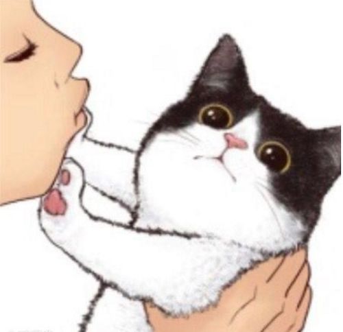  舔猫