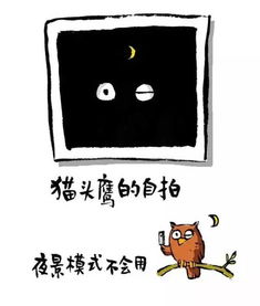 如果动物有朋友圈,一定是这样的