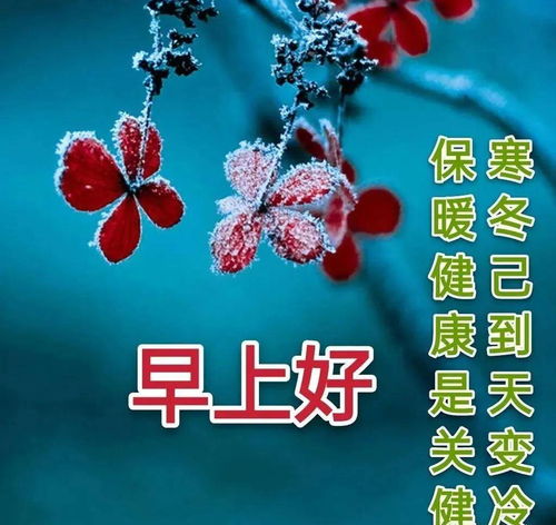  7张好看的冬天风景图片问候语免打字2022冬日唯美早上好图片带祝福语