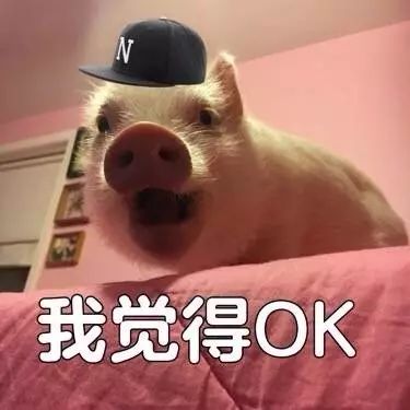  工程职业评估ea政策更新从2017年11月1号起,ea将接受pte成绩