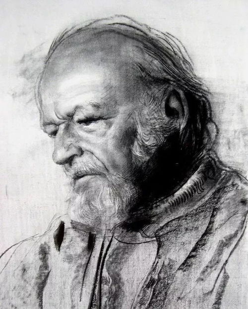  大师阿尼戈尼素描作品精选