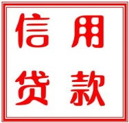  无抵押贷款无抵押个人贷款信用贷款网上114