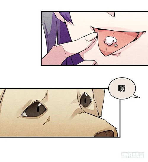  猎奇漫画狗男人,为了爱她把我变成了她的狗