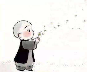  今日禅丨人生莫过做好三件事