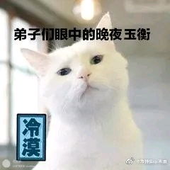 动物版二哈和白猫师尊图来啦