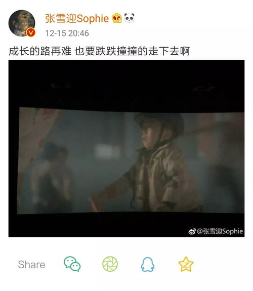  张雪迎更博晒狗十三截图,并给自己留言,却被粉丝嫌弃了