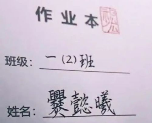  小学生因姓名简单爆红,连名带姓共2笔,老师幸亏有弯钩