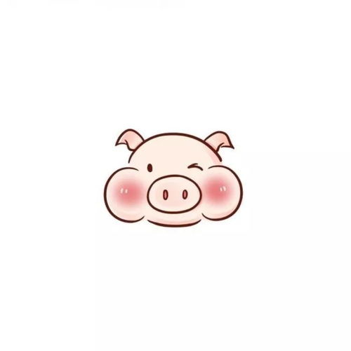  2019专用的猪猪头像你喜欢吗