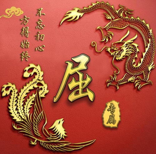 微信头像图片姓氏邵