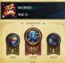 我买的英雄联盟召唤师头像在游戏怎么出不来