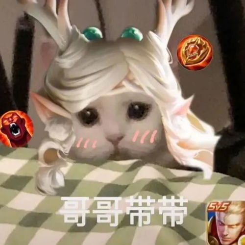  王者荣耀猫头第39期瑶辅助猫咪头像,辅助大件不是更好吗
