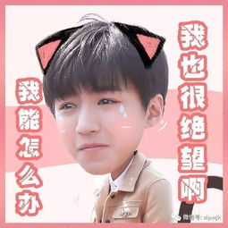  草莓牛奶味的王俊凯