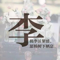  520来啦她姓什么就用什么情话来哄她