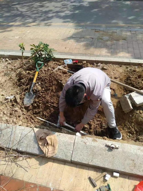  佛奥湾2021年一月份第四周工作简报2021年第5篇