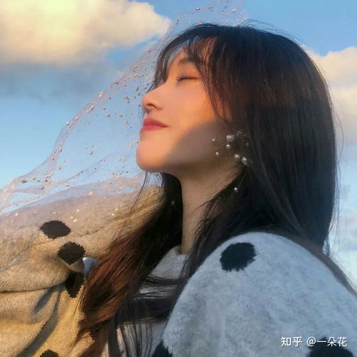  宋蓁蓁厉少霆生命倒计时宋蓁蓁厉少霆苏倩林全文阅读
