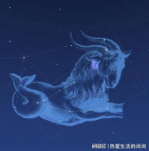  2021年12月的星座运势,摩羯座o型血