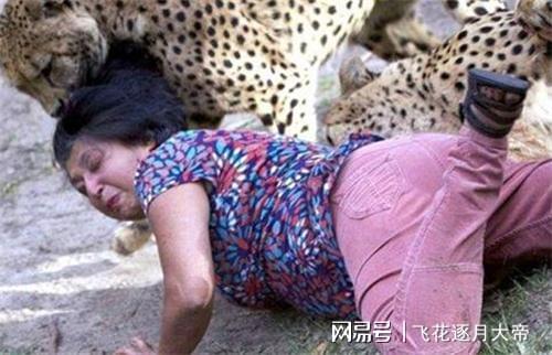  75年,赤手空拳打死一只金钱豹的神农架女英雄陈传香,结局如何