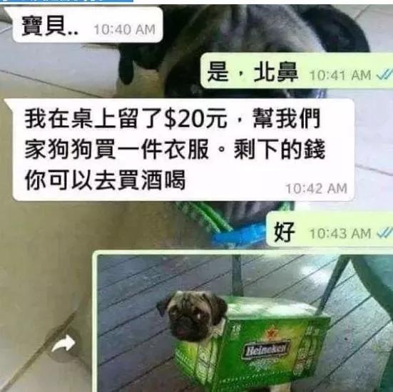  尬笑图集17