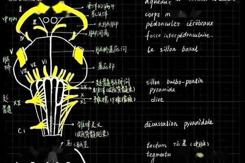  第1353期笔记中的战斗机学霸笔记