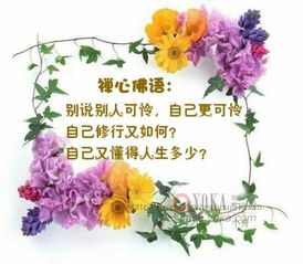  禅语禅理5
