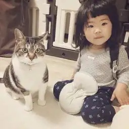 绝对治愈系照片孩子与猫咪的日常生活 绝对治愈系照片孩子与猫咪的日常生活