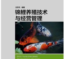  黄页88高清图片
