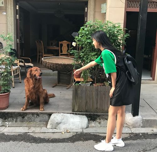  方图小姐姐集中营各种美丽小姐姐小姐姐头像