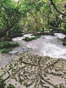  吃吃喝喝走贵州,苗家的高山流水