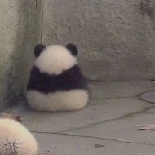  熊猫头像