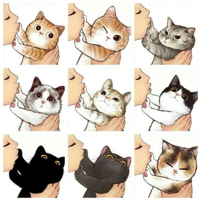  猫咪卡通动漫头像
