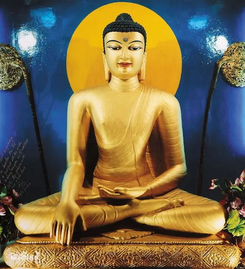  世尊割自身肉孝养父母的故事