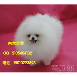  北京黄页88网