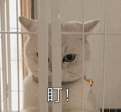  这些五四知识你都知道吗