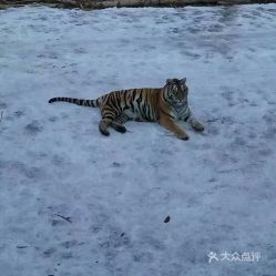  电话,地址,价格,营业时间哈尔滨周边游