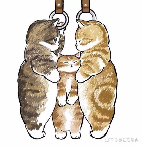  小动物这么可耐,吃尼玛的野味呢