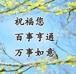  最美的2018元旦祝福送给你,祝您新的一年幸福快乐