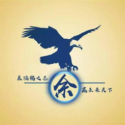  大鹏展翅姓氏头像微信头像,展鸿鹄之志,赢未来天下